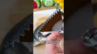 2Pcs Stainless Steel Fish Scale Remover Stainless Steel Scaler Kitchen Gadgets.