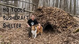 Building a Bushcraft Shelter WITHOUT TOOLS and Sleeping in it
