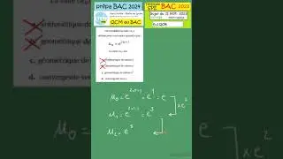 BAC Sp&eacute; Math - pr&eacute;paration du BAC - Vrai ou Faux - Sujet officiel - suites-septembre 2023