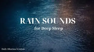 Rain Sounds for Deep Sleep – Natural Healing Noise