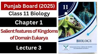 Salient features of kingdoms of domain Eukarya || class 11 biology Punjab board new book