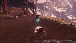 Monster Hunter World Hot Spring
