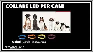 Collare Led 19020x1080 BG NERO