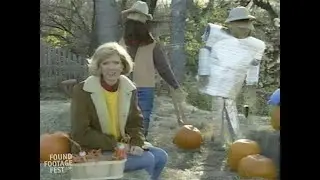 Fall Holiday Survival Guide