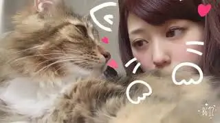 what are you trying to do, fake-cat-girl?