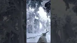 Magical snow scene