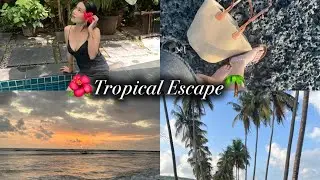 Мне это было необходимо — тропический отдых в Гоа🥥🌴