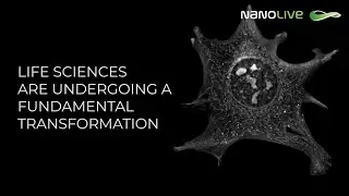 🔬 𝗔𝗰𝗰𝗲𝗹𝗲𝗿𝗮𝘁𝗲 𝘆𝗼𝘂𝗿 𝗿𝗲𝘀𝗲𝗮𝗿𝗰𝗵 𝗷𝗼𝘂𝗿𝗻𝗲𝘆 𝘄𝗶𝘁𝗵 𝗡𝗮𝗻𝗼𝗹𝗶𝘃𝗲! 🚀