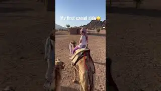 My first camel ride 🐫 #shorts