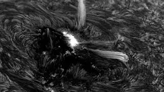 Crazy Dynamic Sun Spot 4048 with Huge Spicules Captured With My Telescope - April 1