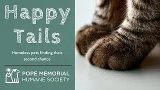 August Happy Tails (adoptions) from PMHS!