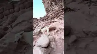 Hidden Chamber Behind Petra&rsquo;s Treasury