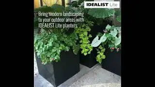 Square Garden Ideas 🌻: Black Box Light Concrete Planter #shorts #getpotted #idealistplanters