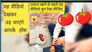 टमाटर खाने से पहले यह वीडियो ध्यान सेदेखें #viral #shorts  #youtubeshorts 