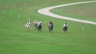 C18 - PRIX EQUIP'HORSE - TOOREEN WARRIOR & ALFRED MADAMET