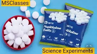 MS classes science corner naphthalene ball experiment #fun #science#experiment #activity #trending