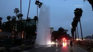 Mission Valley Hit & Run on a Fire Hydrant