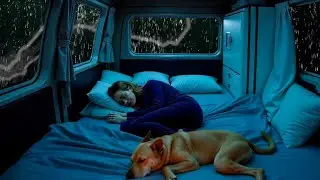 Rain, Thunder & Forest 🌧️ Calming Nature Sounds for Deep Sleep & Stress Recovery