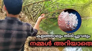 Microplastics Explained in Malayalam