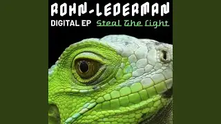 Steal the Light (Stefan Netschio Remix)