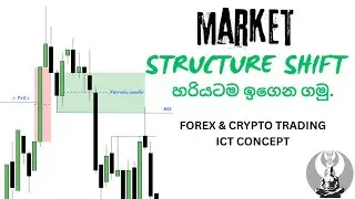 How to identify Valid Market Structure Shift | MSS  හරියටම අඳුර ගමු |  #forextrading #crypto