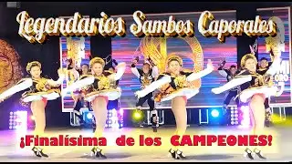 🏆 FINALISIMA de los CAMPEONES: LEGENDARIOS SAMBOS CAPORALES - Concurso Tumi de Oro 2024 - Sayas 🏆