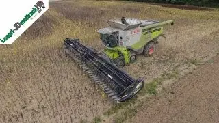 Claas Lexion 770 TT & Mac Don 12.20m | Moisson du Tournesol 2016 !