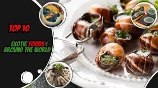 Top 10 Exotic Foods Around The World