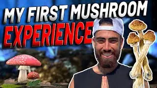 My First Mushroom Experience - How It Made Me Change My Life