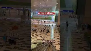 Changi Arrival &mdash; Terminal Feels Like a Stadium 😲