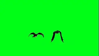 Eagle flying | #green screen effect | free download | Birds flying green screen | Adobe | kinemaser