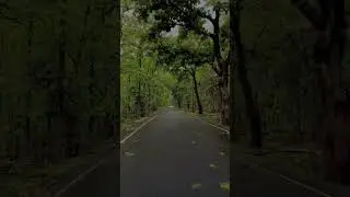 #nature  #rodetrip  🌳🏞️☔🌳