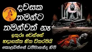 දවසක ඔබට ඉතුරු වෙන්නේ හදා ගත්ත හිත පමනමයි | KOLABISSE DAMMANANDA THERO | DARMADESANA