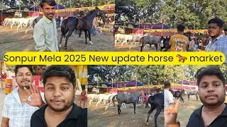 Horse market | Sonpur  | Sonpur mela 2025 | viral video  | viral horse 