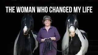 🐴How Horses Help People Heal in Amazing Ways