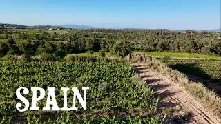 Barcelona: Catalonia Kava Region | Spain 🇪🇸| Travel vLog | 2025 