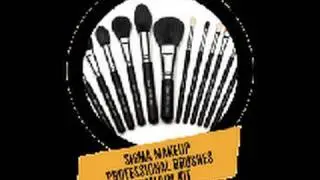 Sigma Makeup Professional Brushes Premium Kit Review