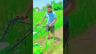 #farmingtractor #ganee #viral #harvesting #sugarcanefarming #farmerlife