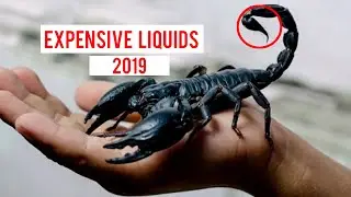 The 10 Most Expensive Liquids in the World 2019