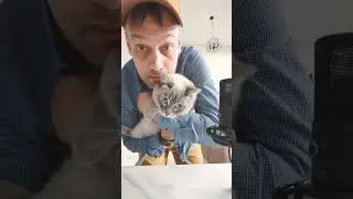 Пакетик брать будете 😰⁉️ |Mrfodi #shorts #mrfodi #meme #tiktok