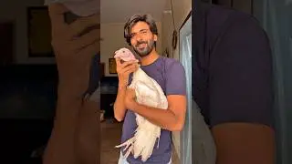 Turkey Eggs #shorts #youtubeshorts #viral #turkey #birds #wildlife