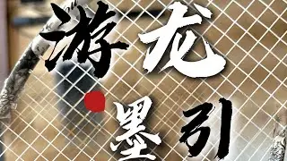 5U进攻拍🏸  游龙墨引 用了很好打