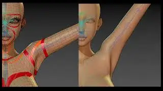 Base Mesh Shoulder Topology & extreme deformation Test