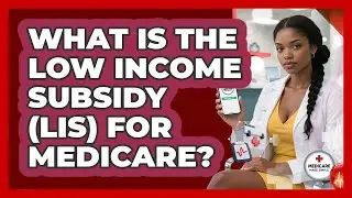 What Is The Low Income Subsidy (LIS) For Medicare? - Medicare Made Simple Guide