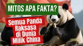 Info Ringan : Mitos Apa Fakta? Semua Panda Raksasa di Dunia Milik China #inforingan