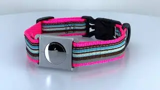 AirTag Dog Collar ( You Gotta See This ) - TrackFIDO&trade;