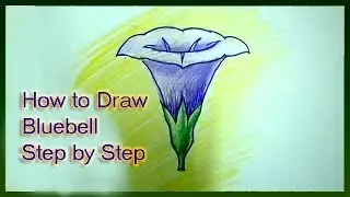How to Draw Bluebell Flower Step by Step