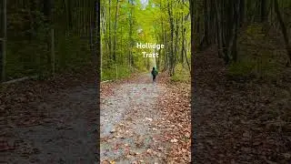Hiking in colourful Ontario trail. #toronto #fall #markham #canada