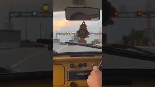 1972 VW Beetle Cruising