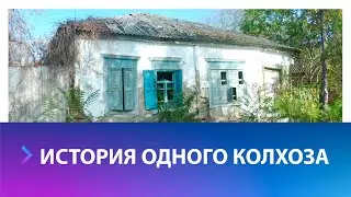 История одного колхоза